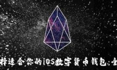   如何选择适合你的iOS数字货币钱包：全面指南