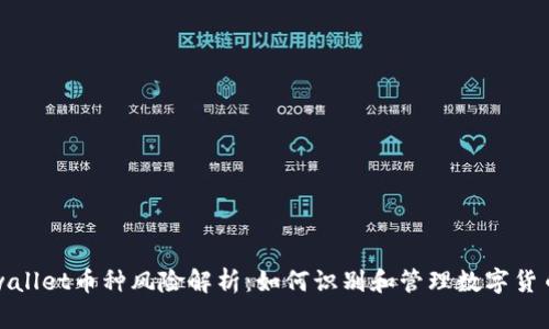 ### tpwallet币种风险解析：如何识别和管理数字货币投资风险