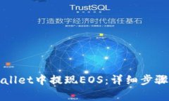 如何在TPWallet中提现EOS：详细步骤与注意事项