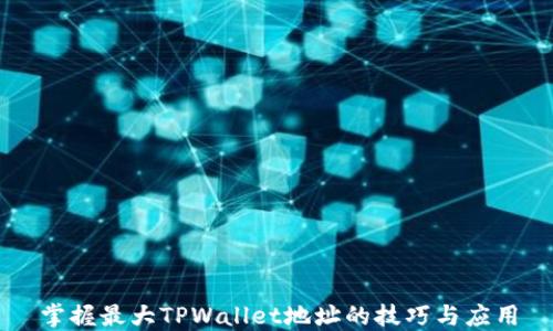 
掌握最大TPWallet地址的技巧与应用