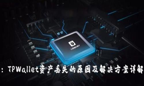 : TPWallet资产丢失的原因及解决方案详解