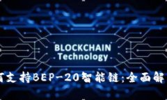 TPWallet如何支持BEP-20智能链：全面解析与应用指南
