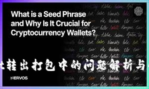 TPWallet转出打包中的问题解析与解决方案