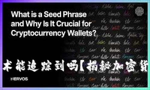 tpwallet币被盗技术能追踪到吗？揭秘加密货币安全与追踪机制