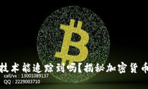 tpwallet币被盗技术能追踪到吗？揭秘加密货币安全与追踪机制