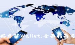 如何搭建TPWallet：全面指南与技巧