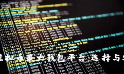 全面解析虚拟币最大钱包平台：选择与安全性指南