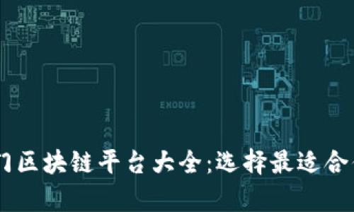 当前热门区块链平台大全：选择最适合你的平台