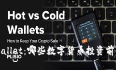 2023年TPWallet：哪些数字货币投资前景值得关注？