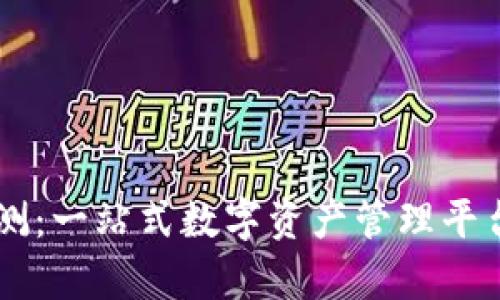 TPWallet评测：一站式数字资产管理平台的深度解析