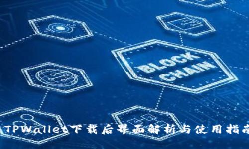  TPWallet下载后界面解析与使用指南