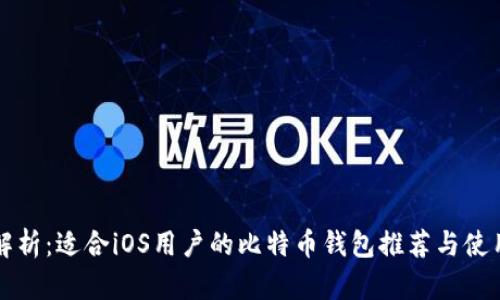 全面解析：适合iOS用户的比特币钱包推荐与使用指南