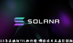 2023年区块链TVL排行榜：哪些项目正在引领潮流？