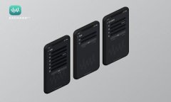 biao ti支持中文助记词的钱包软件推荐与使用指南