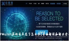 TPWallet买的币不见了怎么办？全面解析和解决方案