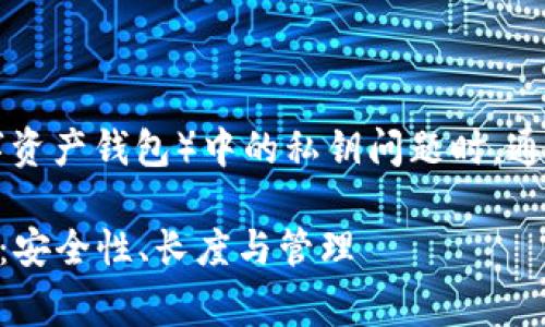 在讨论TPWallet（一个数字资产钱包）中的私钥问题时，通常要关注到以下几个要点：

### TPWallet私钥分析：安全性、长度与管理