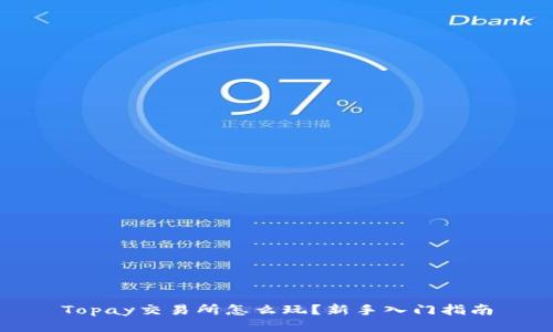 Topay交易所怎么玩？新手入门指南