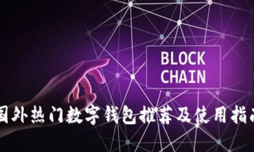 国外热门数字钱包推荐及使用指南