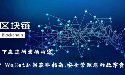 以下是您所需的内容:
TP Wallet私钥获取指南:安全管理您的数字资产