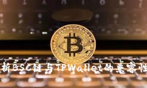 全面解析BSC链与TPWallet的兼容性与功能
