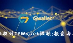 理解BNB提到TPWallet限额：投资与风险分析