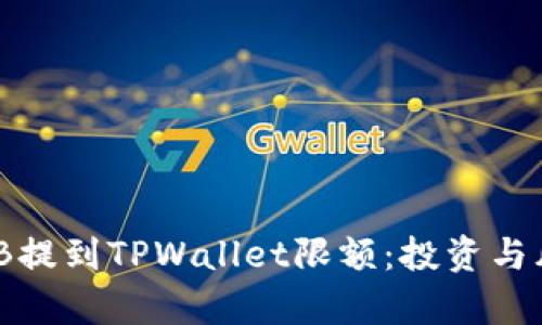 理解BNB提到TPWallet限额：投资与风险分析