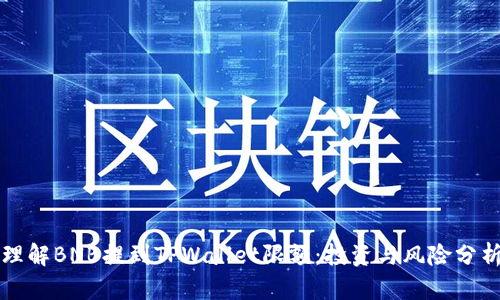 理解BNB提到TPWallet限额：投资与风险分析