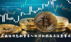 区块链钱包批量导入的详细指南与注意事项