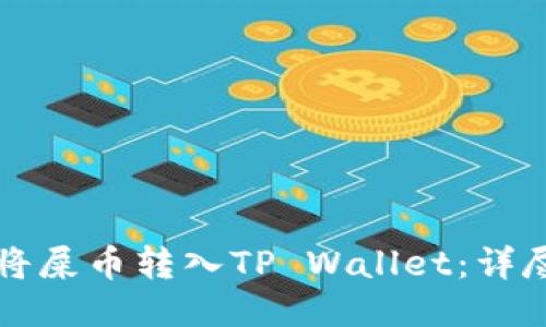 如何将屎币转入TP Wallet：详尽指南