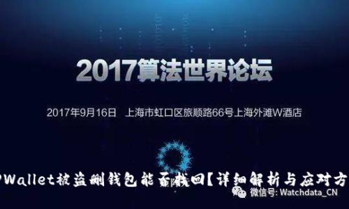 TPWallet被盗删钱包能否找回？详细解析与应对方法