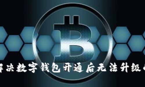 如何解决数字钱包开通后无法升级的问题
