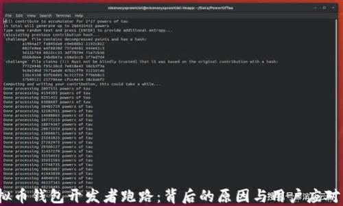 
 虚拟币钱包开发者跑路：背后的原因与用户应对策略