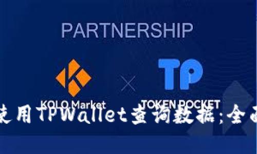 如何使用TPWallet查询数据：全面指南