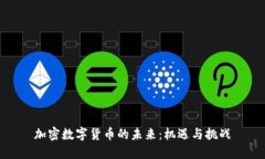 加密数字货币的未来：机遇与挑战