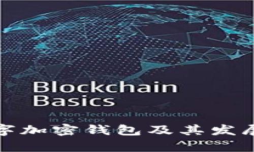 最早的数字加密钱包及其发展历程解析