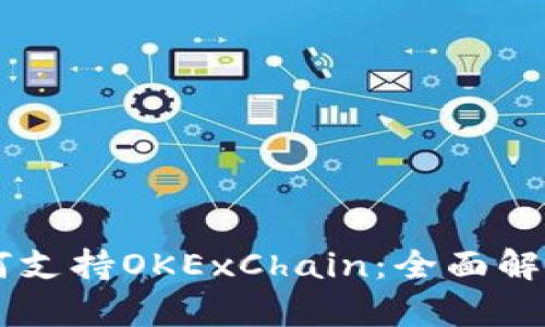 TPWallet如何支持OKExChain：全面解析及应用指南