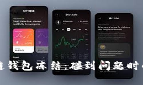 如何应对区块链钱包冻结：碰到问题时的全面解决指南