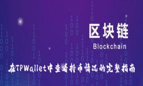 在TPWallet中查看持币情况的完整指南