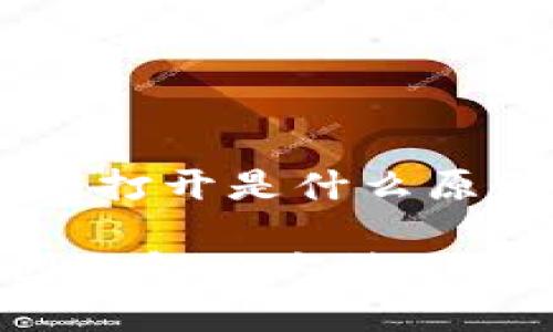 下面是关于“tpwallet无法打开是什么原因”的、关键词及内容大纲。

TPWallet无法打开的原因与解决方法