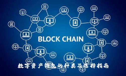 数字资产钱包的种类及选择指南