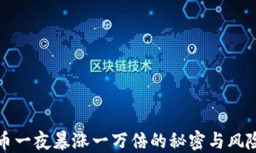 
虚拟币一夜暴涨一万倍的秘密与风险探讨