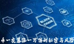 虚拟币一夜暴涨一万倍的秘密与风险探讨