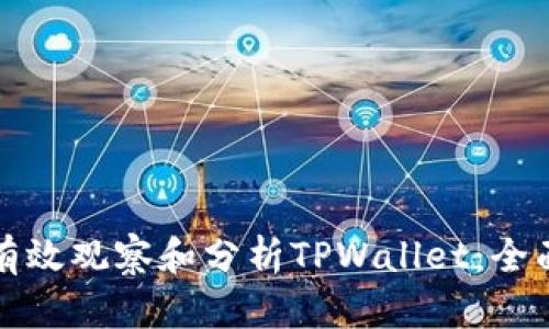 如何有效观察和分析TPWallet：全面指南