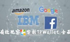 如何有效观察和分析TPWallet：全面指南
