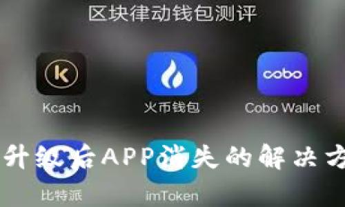 TPWallet升级后APP消失的解决方案与分析