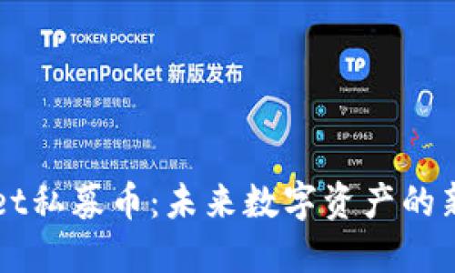 TPWallet私募币：未来数字资产的新潮力量