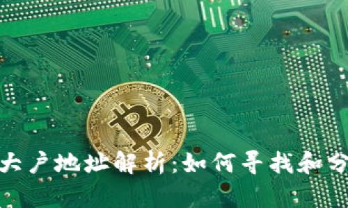 : tpwallet大户地址解析：如何寻找和分析大额持仓