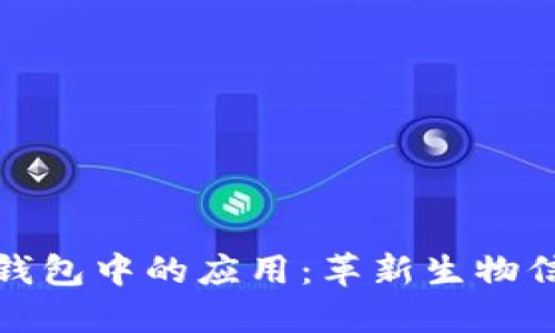 区块链在DNA钱包中的应用：革新生物信息管理的未来