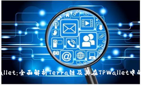 TPWallet：全面解析Terra链及其在TPWallet中的应用