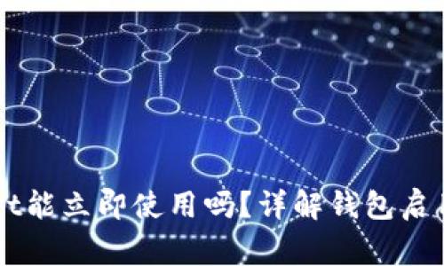 新创建的TPWallet能立即使用吗？详解钱包启用步骤与注意事项